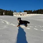 Apartmán Berghof Almzeit - 