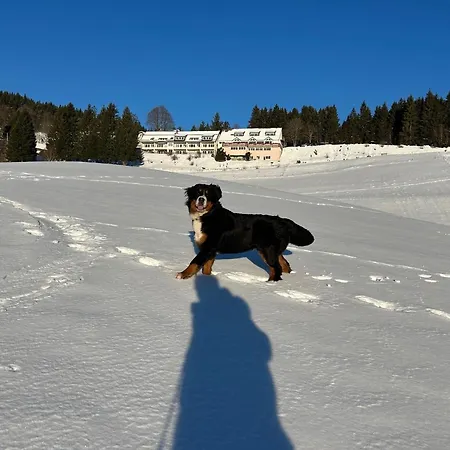 Apartamento Berghof Almzeit - 